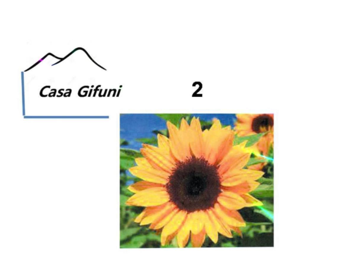 Guest house Casa Gifuni *