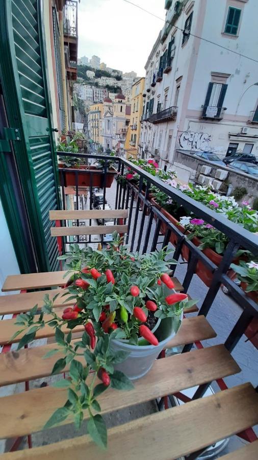 Palazzetto Di Neubourg * Naples