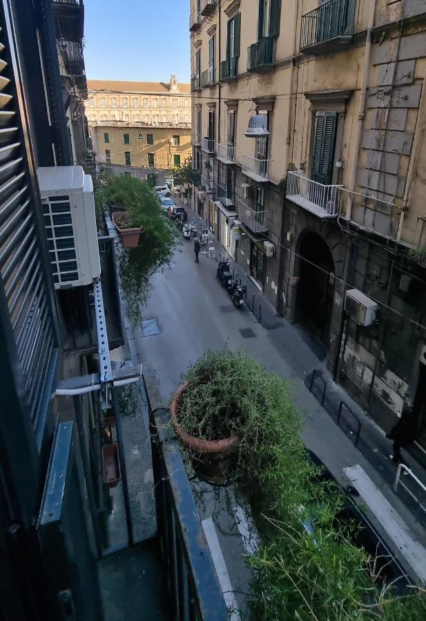 L'arnia * Naples