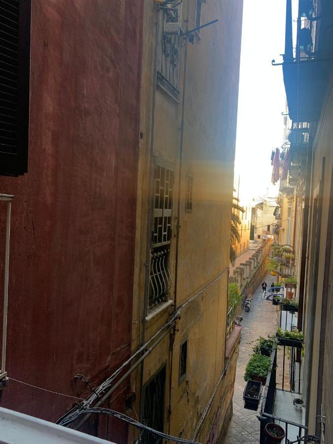Casa Viscardi