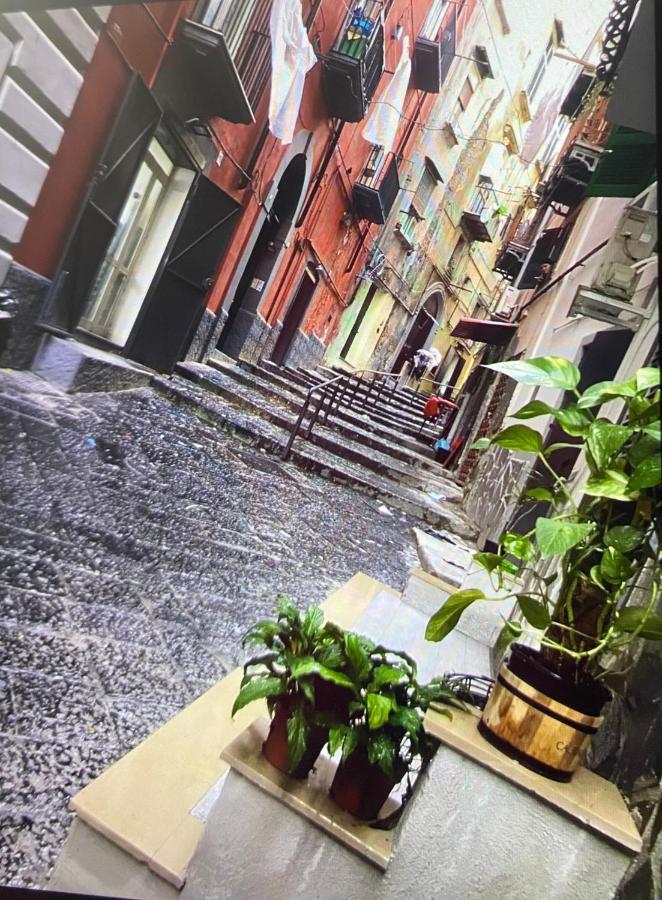 Casa Mari' Centro Storico Vicino Caracciolo Naples