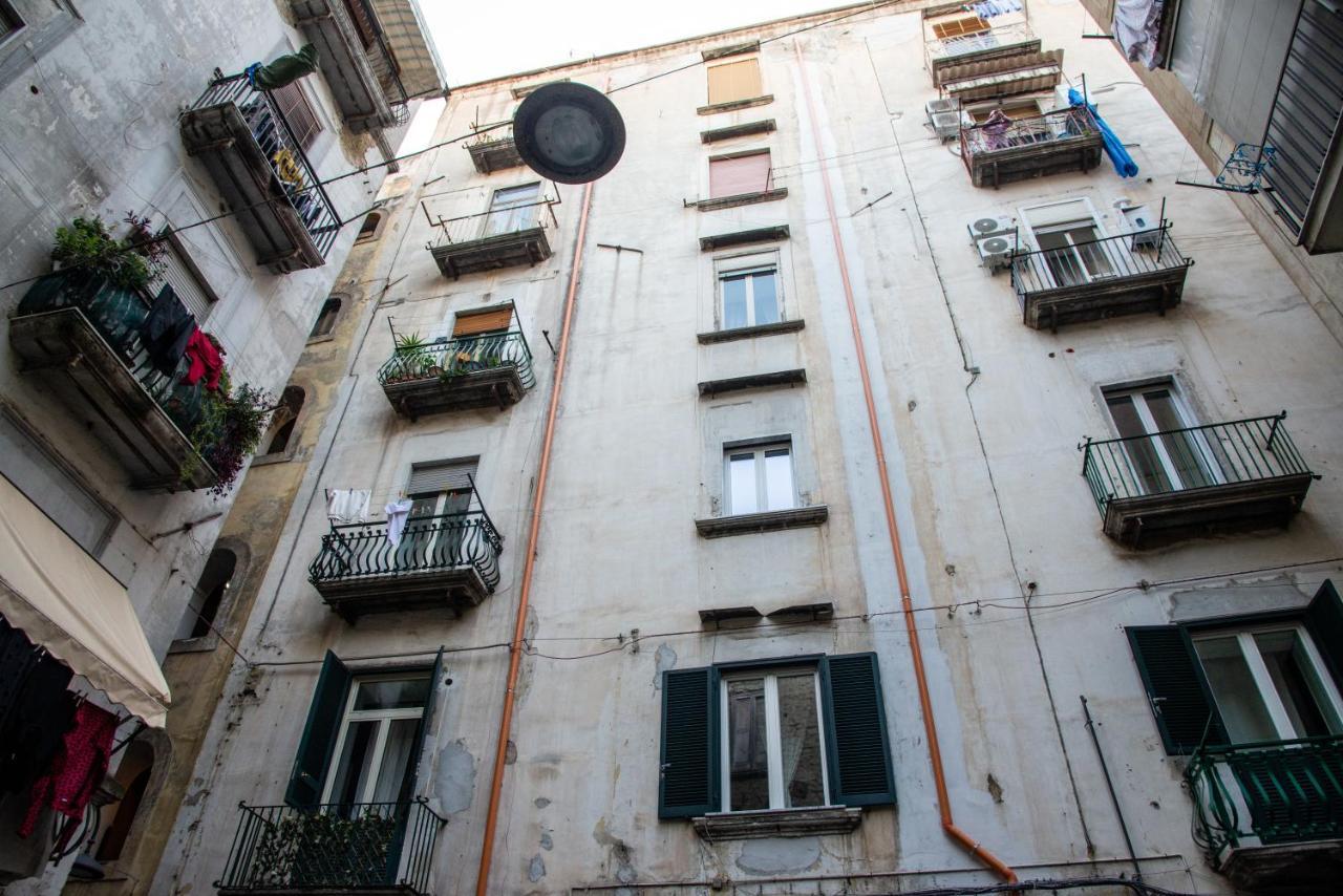 Domus Anticaglia By Domusextra *