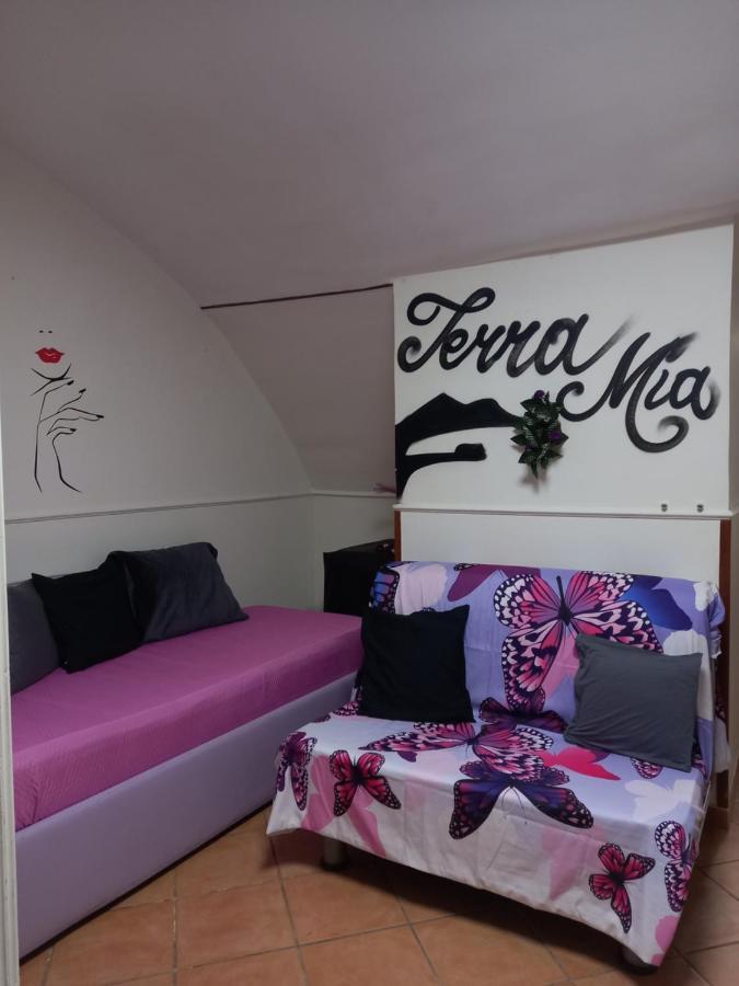 Terra Mia Naples