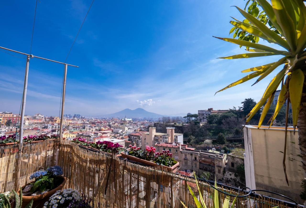 Casa Sofia