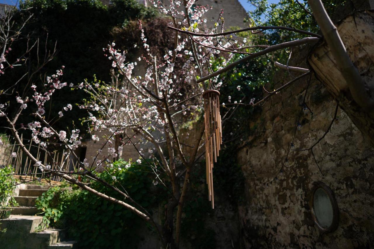 Casa Vayu - & Garden