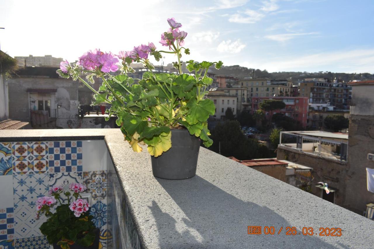 Casa Materdei Apartment Naples