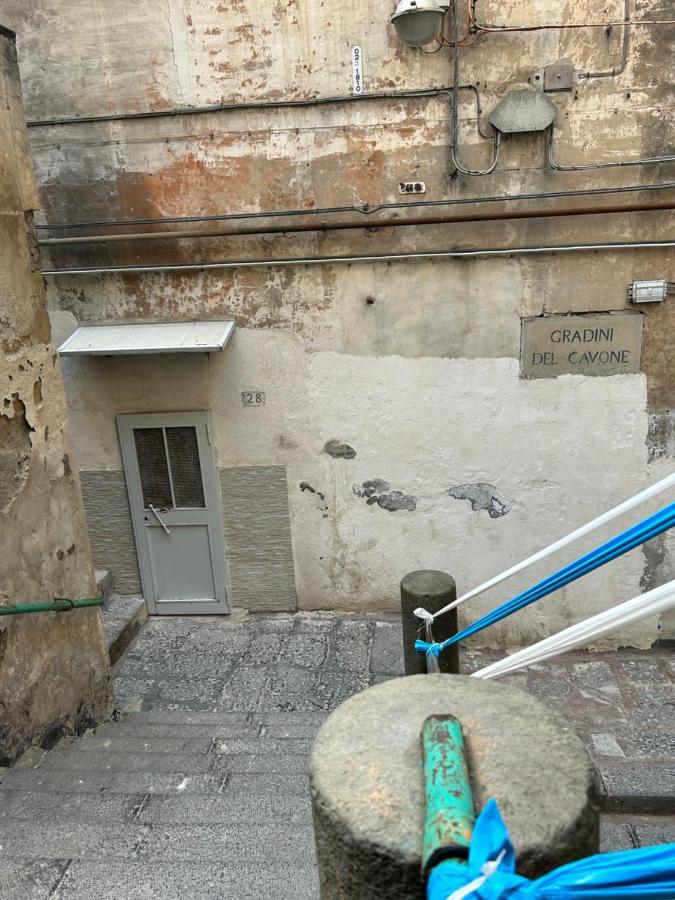 Cavone13
