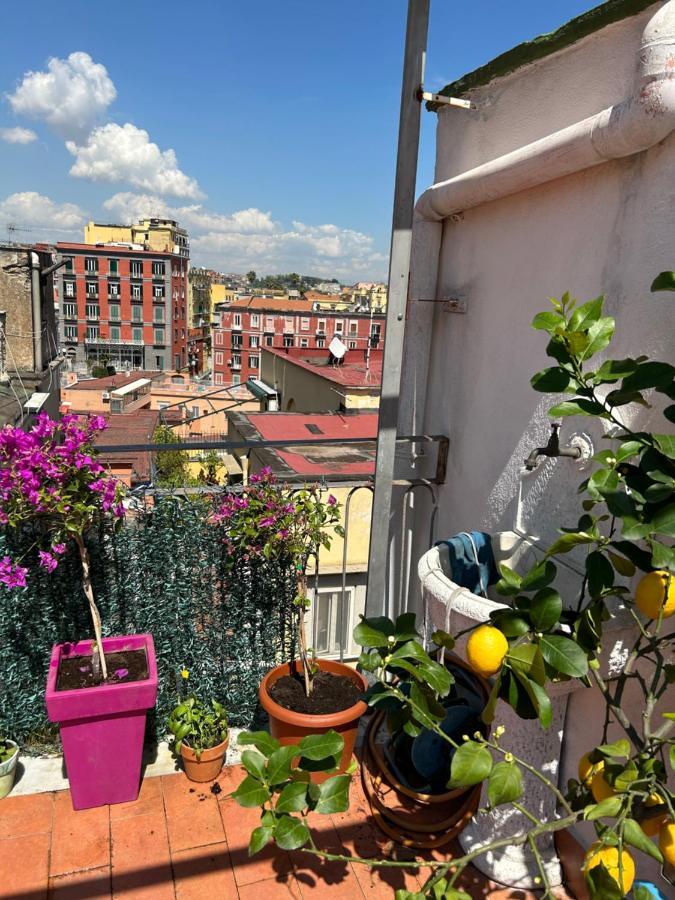 Apartment La Terrazza