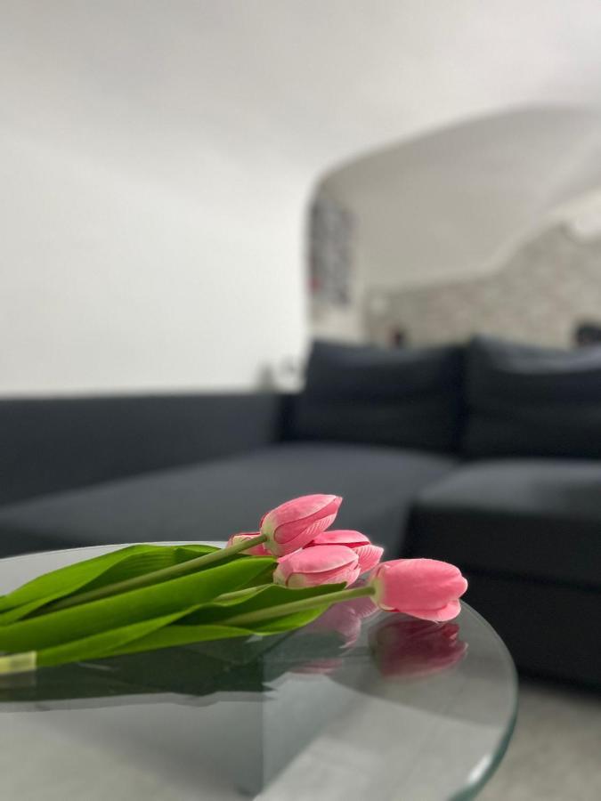 I Nuovi Orizzonti Apartment *