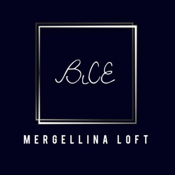 Bice Mergellina Loft * Naples