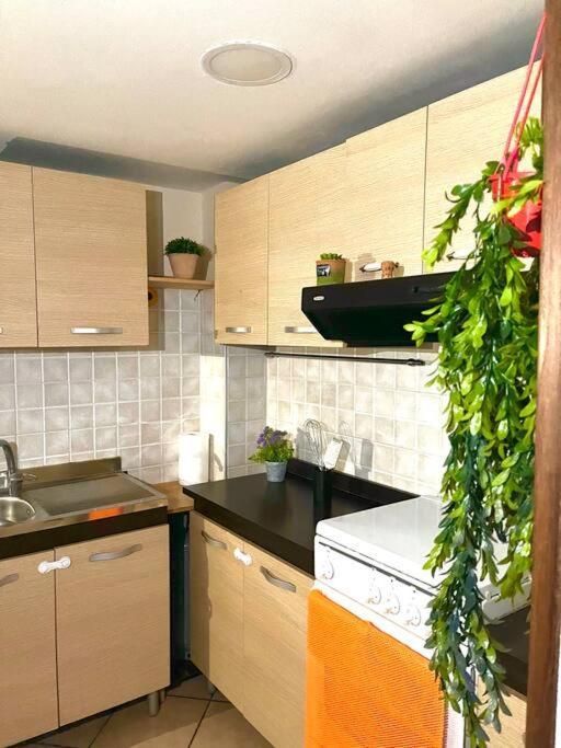Neapolitan Dream Apartment