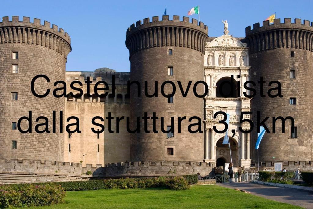 Dg Lovely Naples