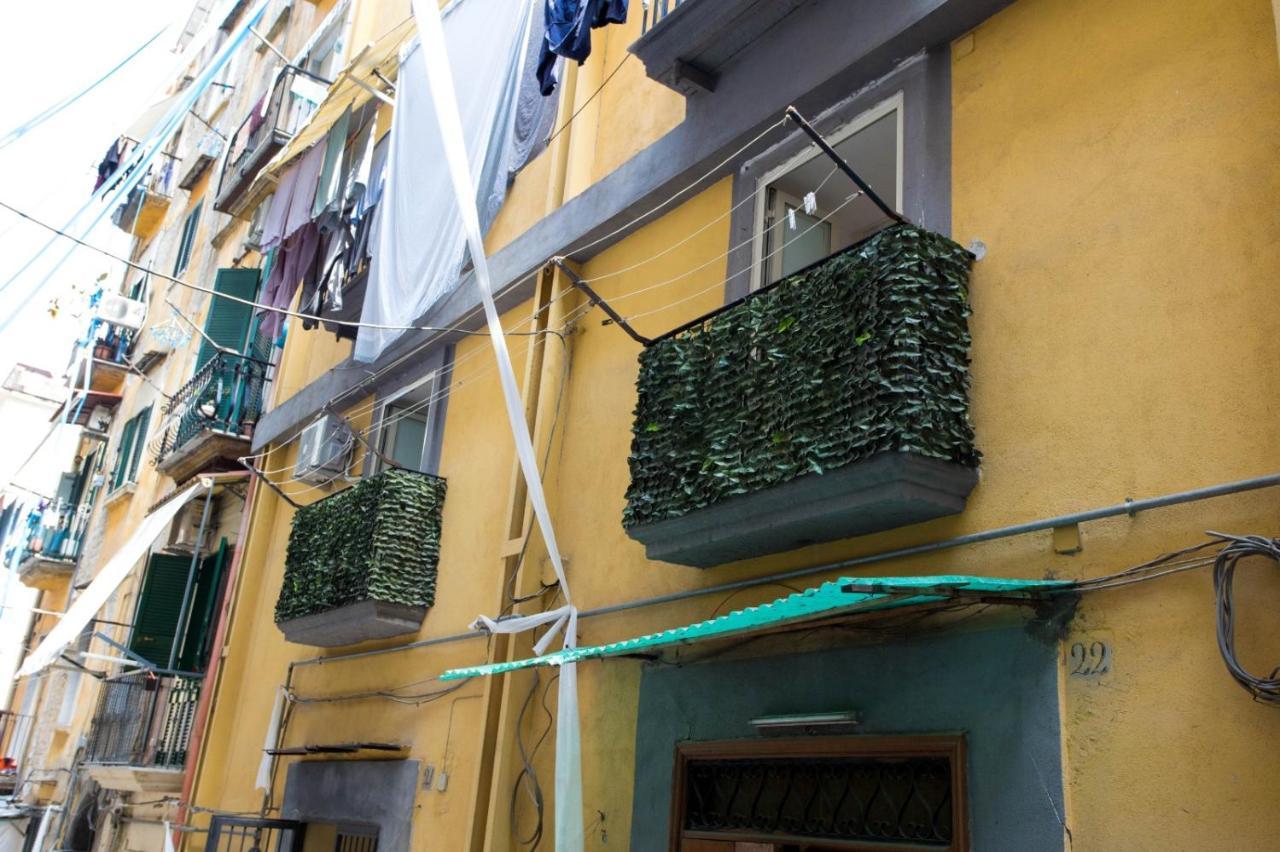 Domus Dei Gemelli *