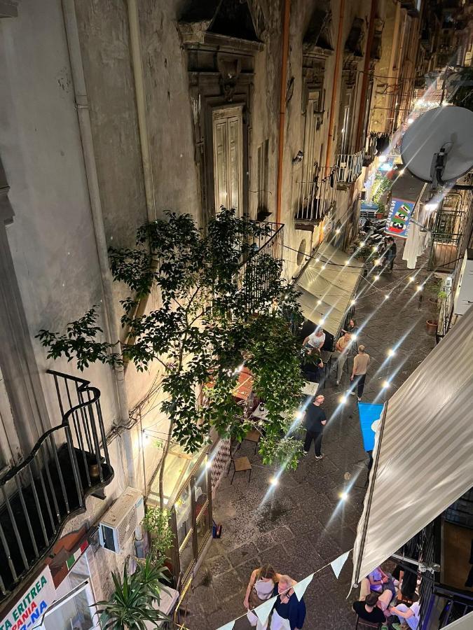 Terra Mia Naples