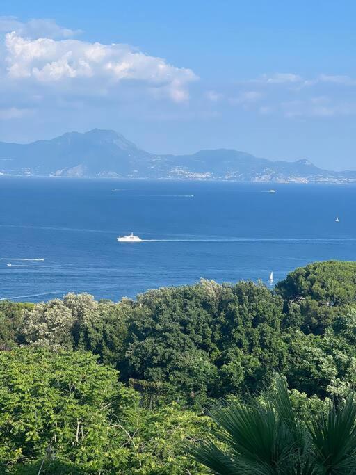 La Maison Del Mare Apartment Naples