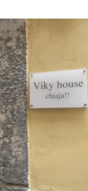 Viky House Chiaia *