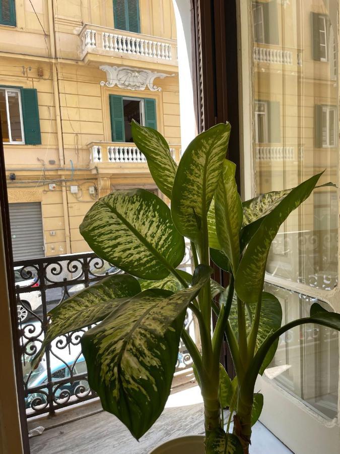 Santa House Naples