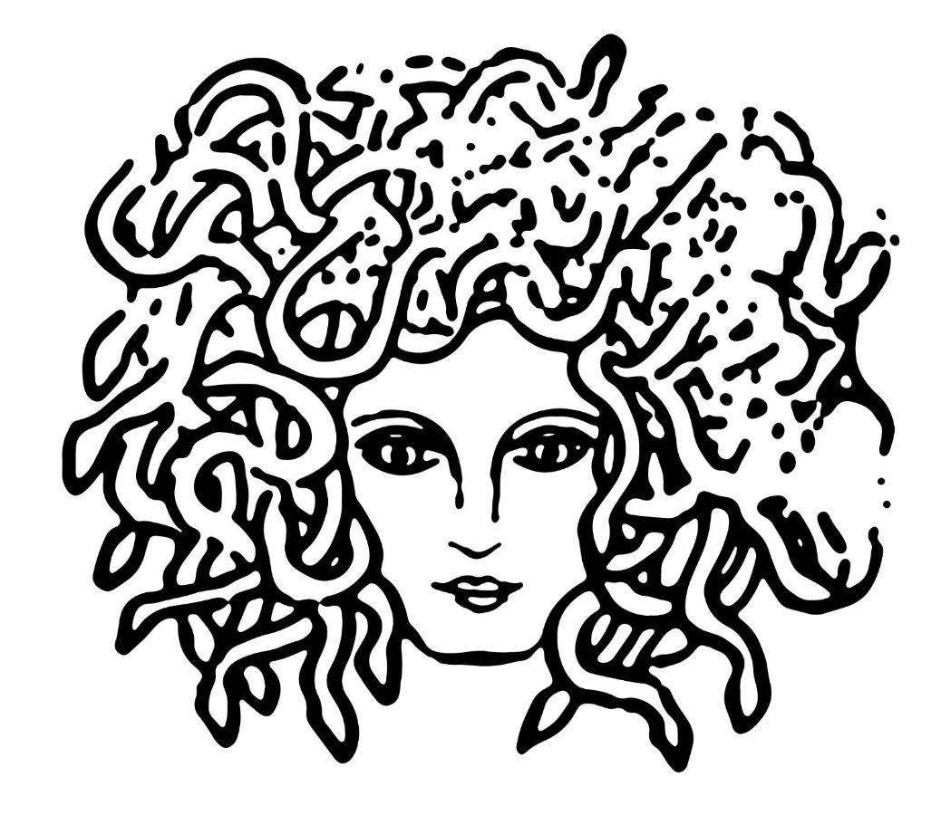 Medusa Duomo Guest house Naples