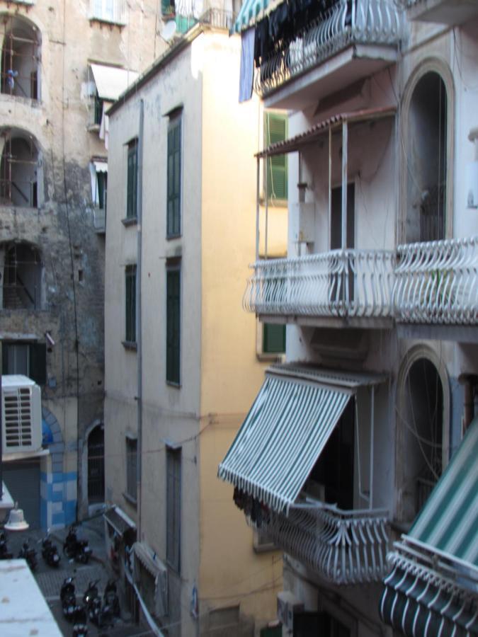 Enzo Guest house