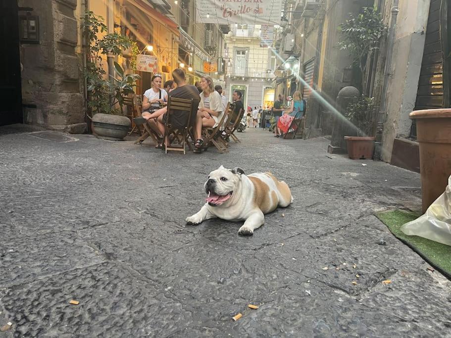 La Casa Di Sarah Aspetta Voi *