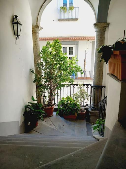 Nilo 28 House