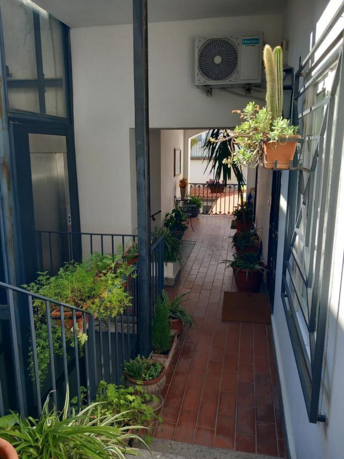 Apartment Nilo 28 House *