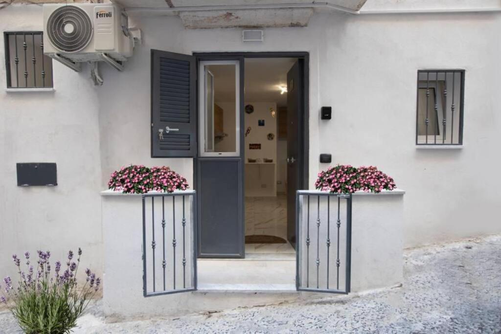 Concordia House Centro Storico Apartment