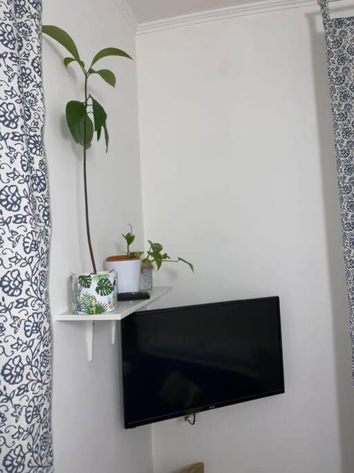 Apartment House Spagnoli