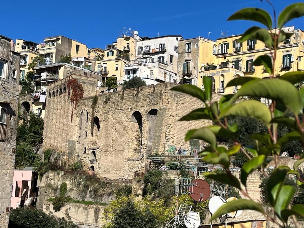 Attico Ventaglieri With Panoramic Terrace Naples
