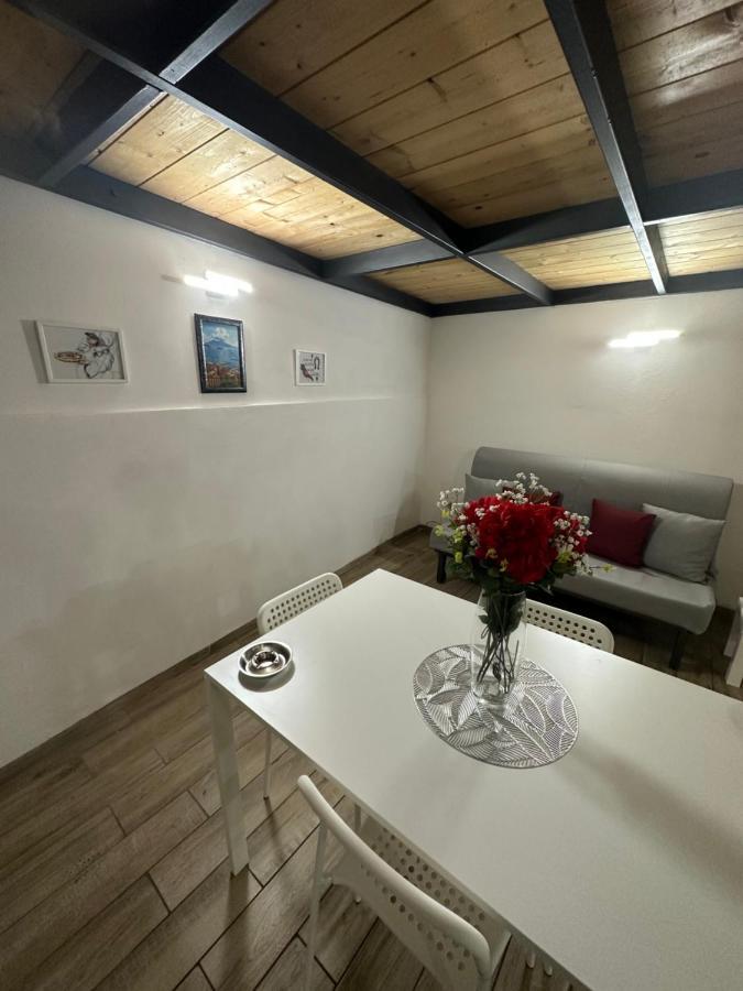 Apartment Aurora House