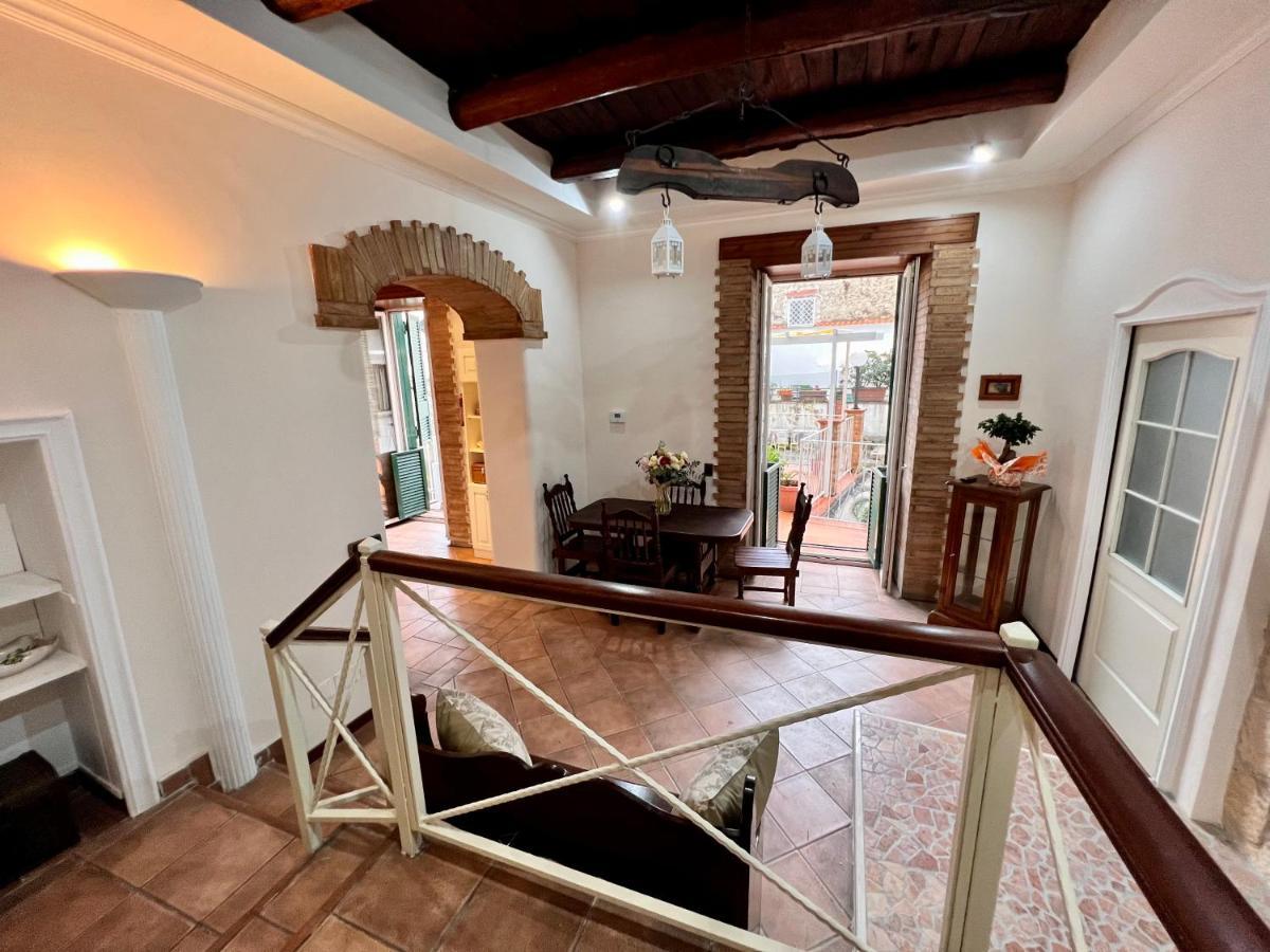 Apartment Domus Elena - Plebiscito *