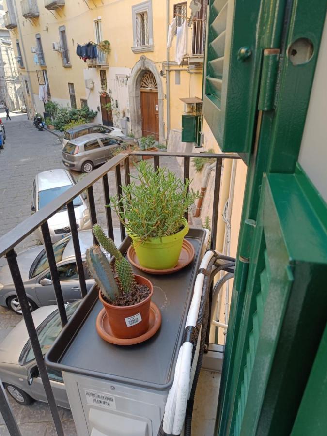 Apartment Domusmadre