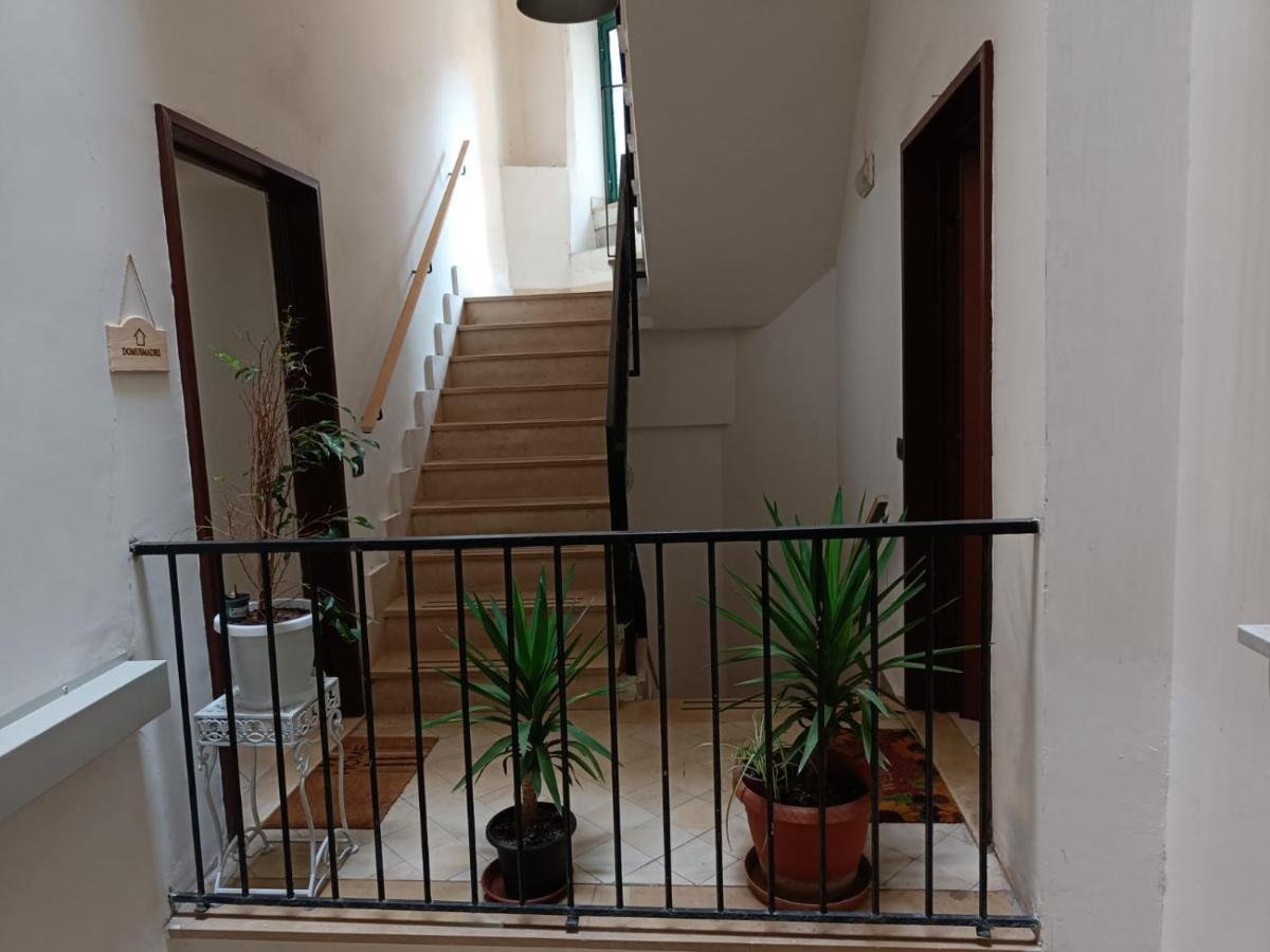 Domusmadre Apartment