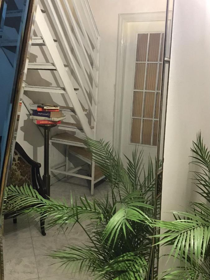 Botanical Garden's Flat Naples