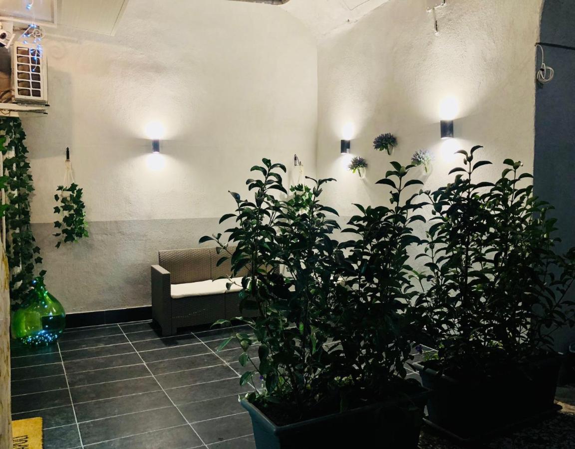 Amonia House Apartment *