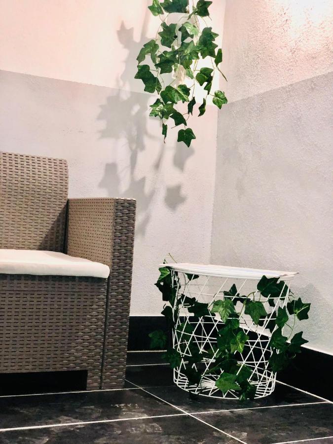 Apartment Amonia House