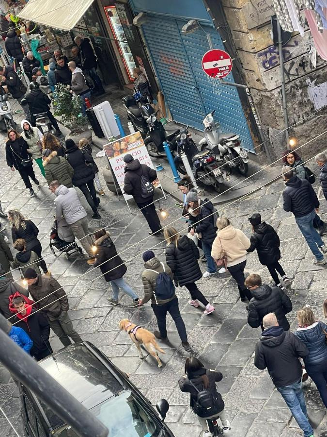 Catalea * Naples