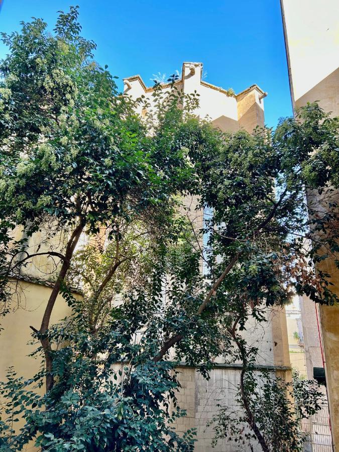Savastano House Duomo Guest house *