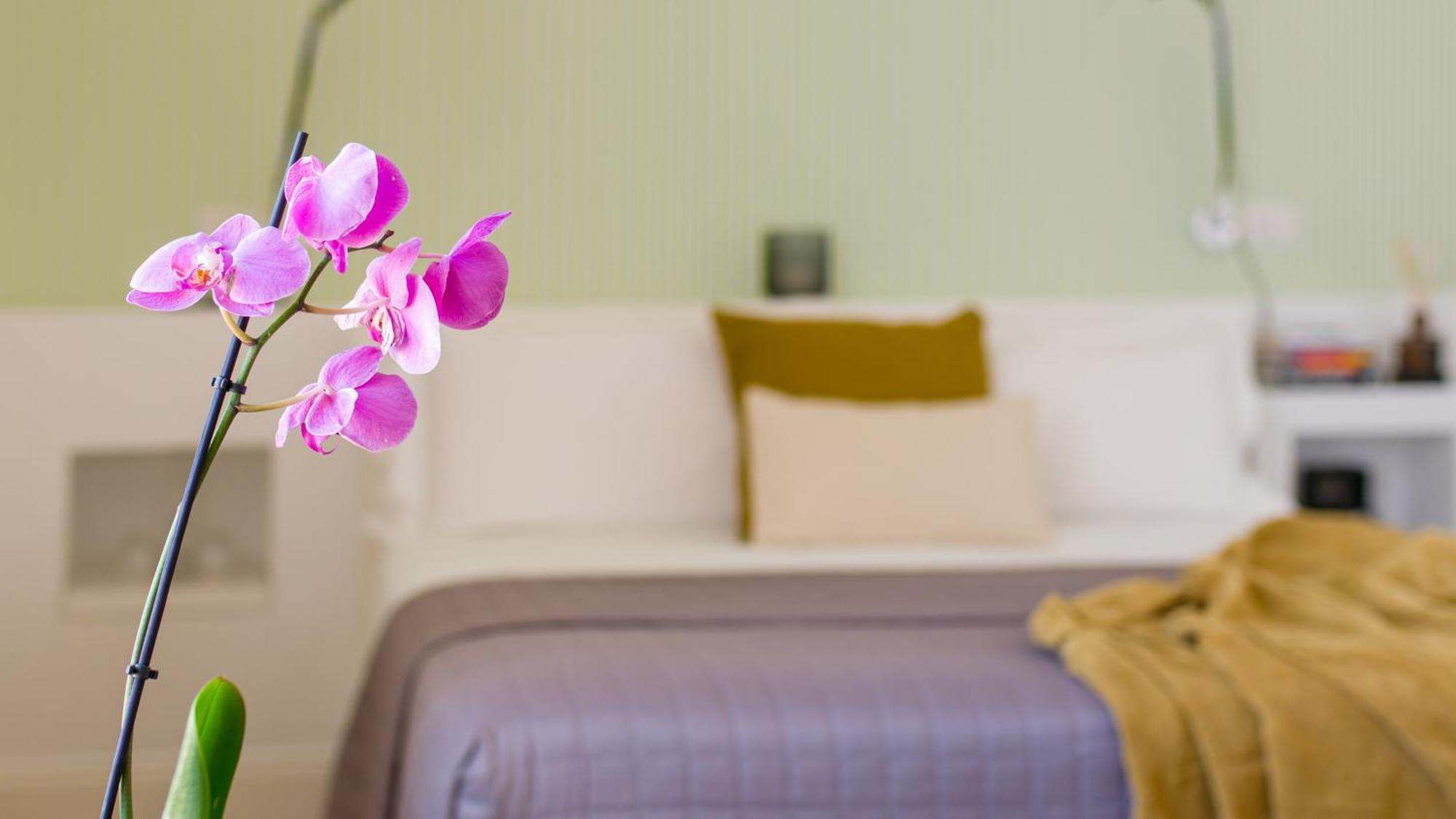 Hotel Santa Chiara Boutique Naples