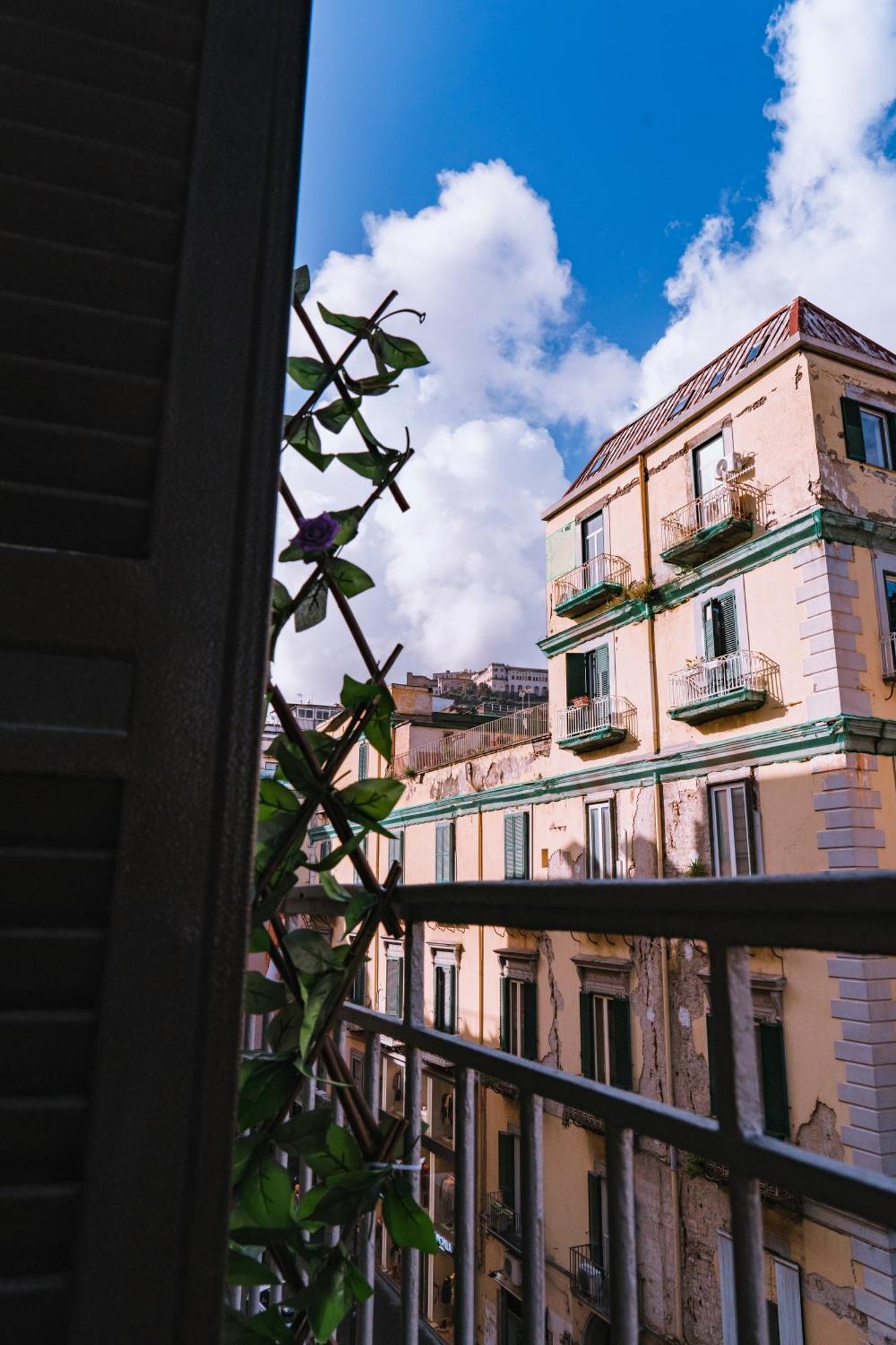 Gg-grow - S. Brigida Guest house