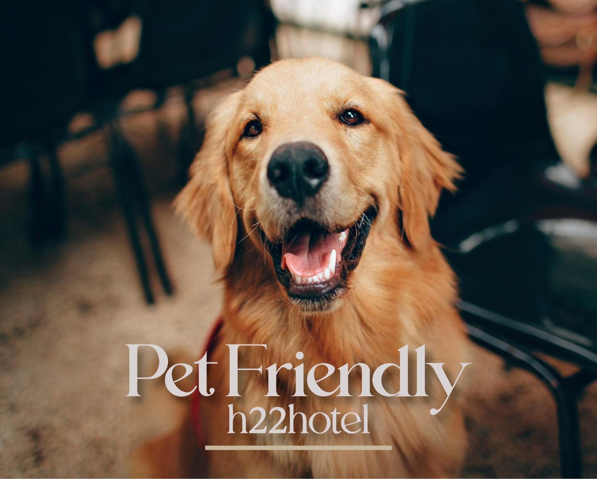 Hotel H22