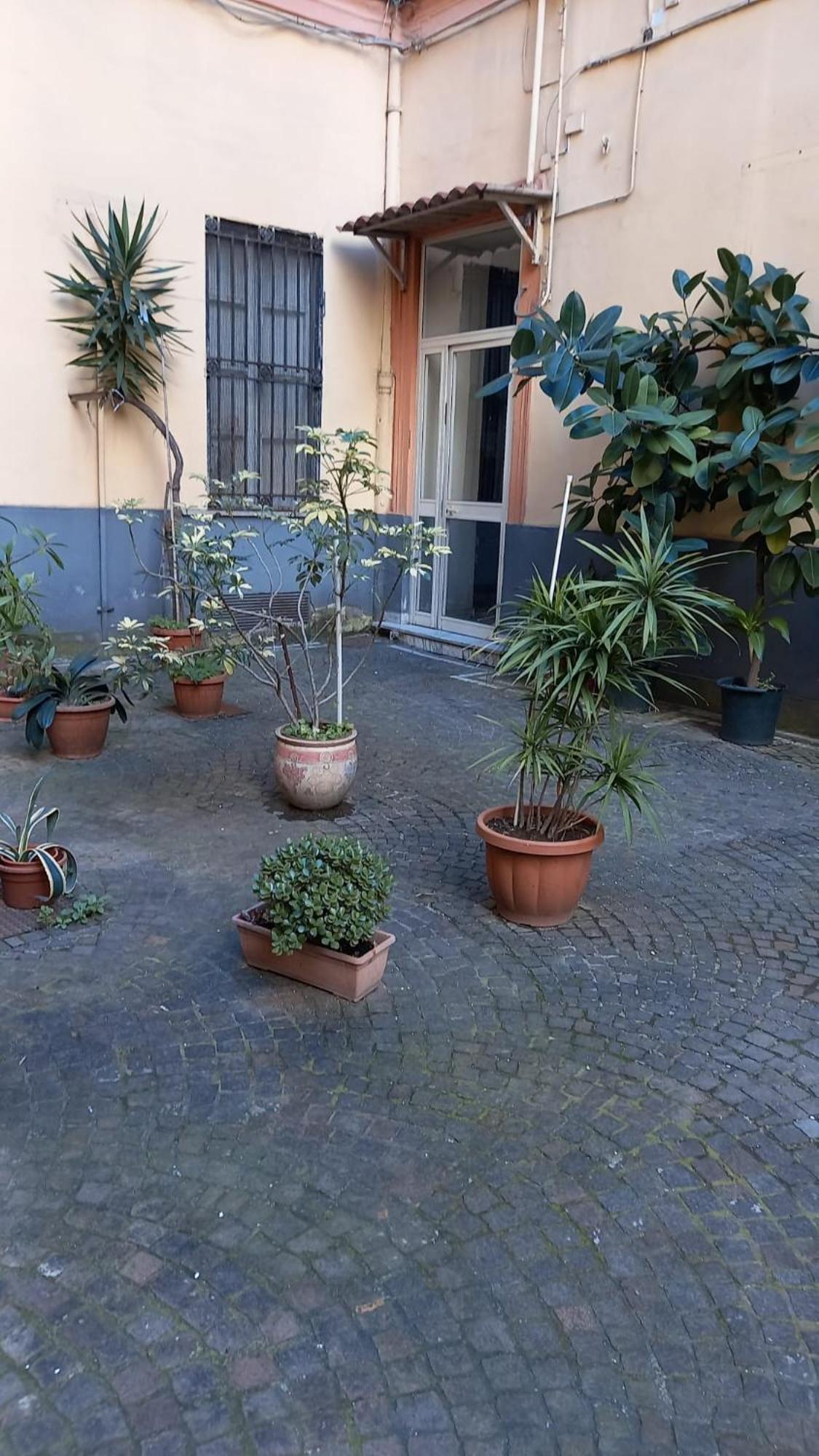 Apartment Domus Mea *