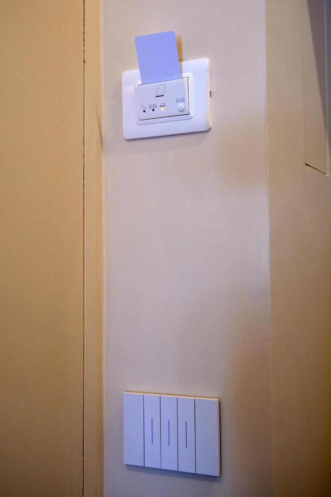 Apartment Alesuite *