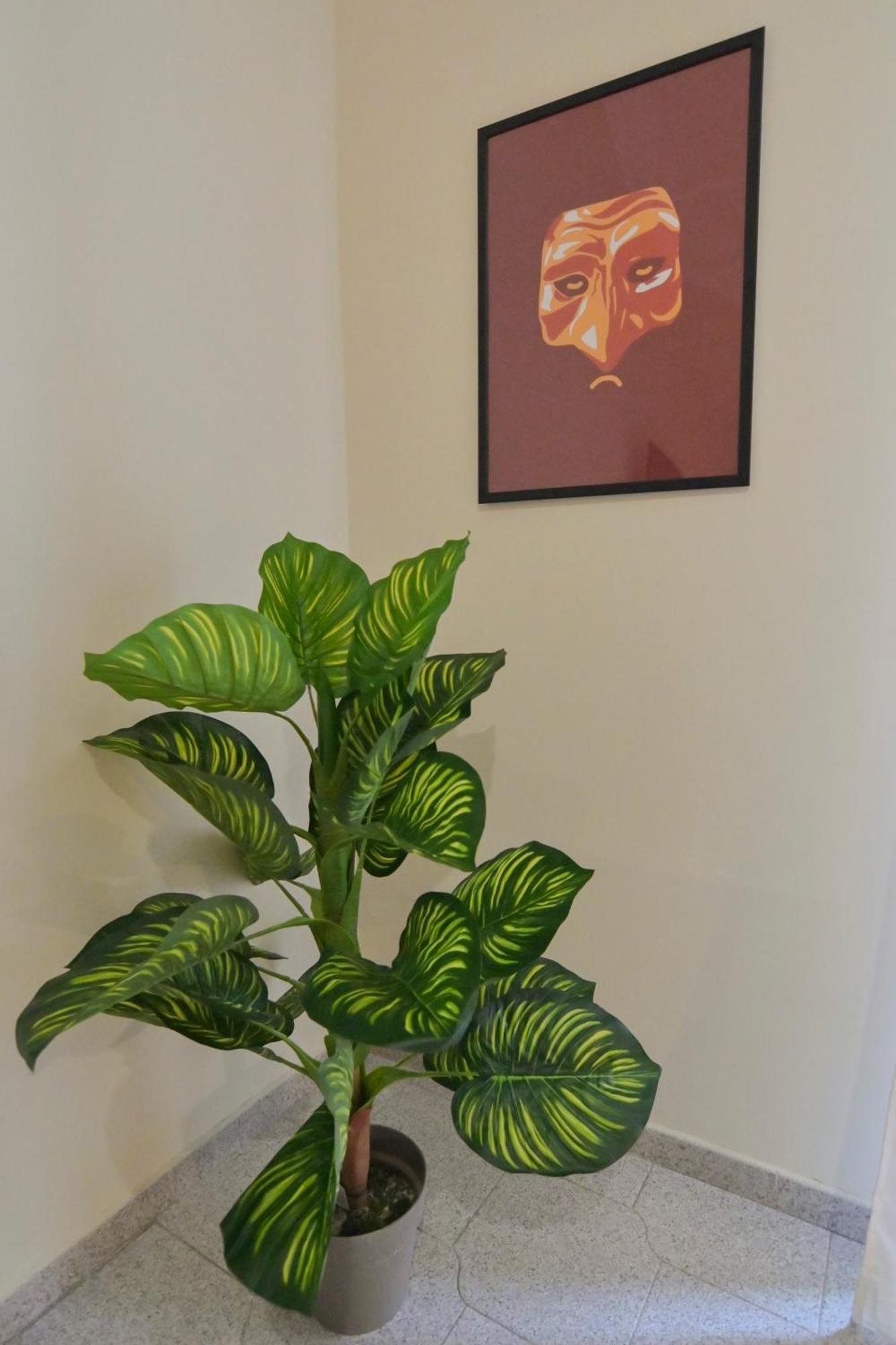 Apartment Cozy Naples
