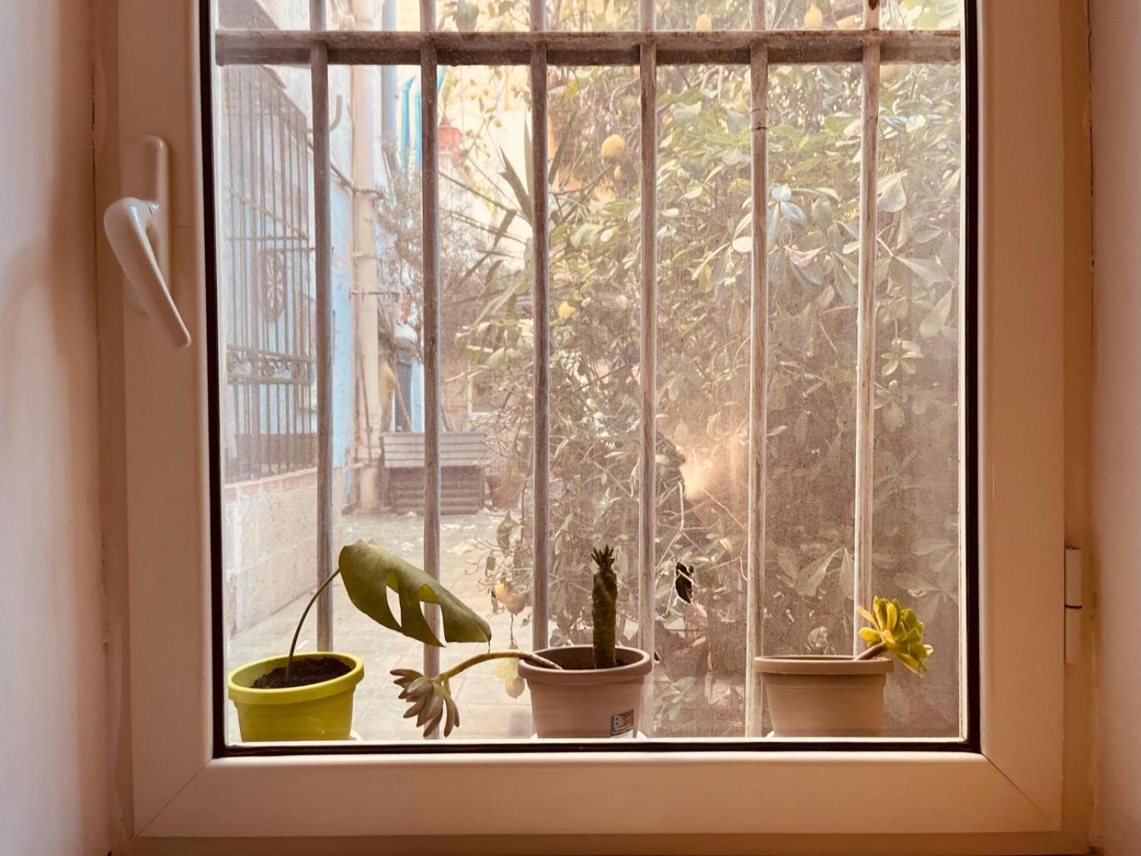 Apartment Il Buon Vento Naples