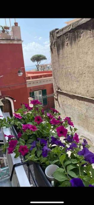 Happy Shared Guest house *