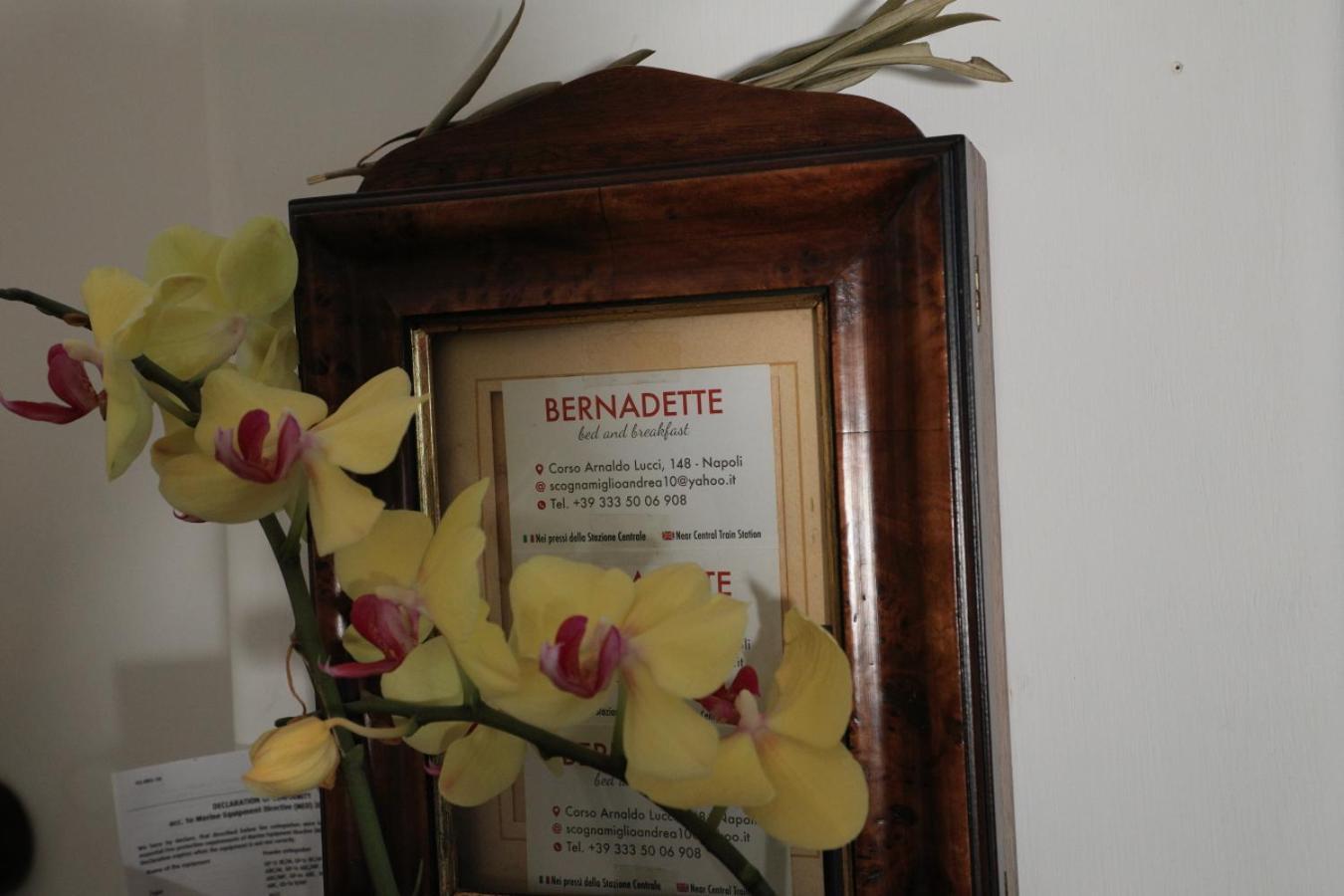 Bed & Breakfast Bernadette