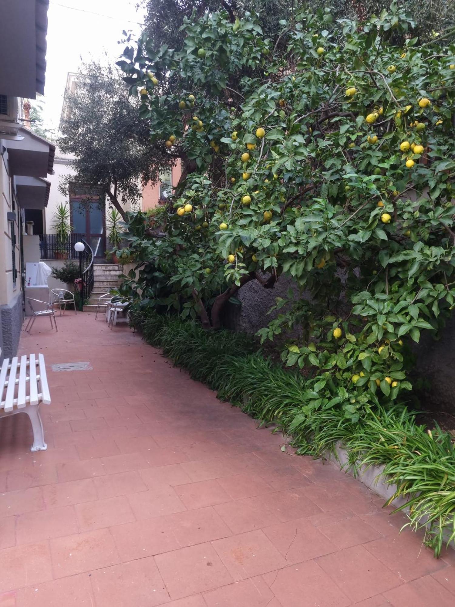 La Casetta Di Oppi Apartment
