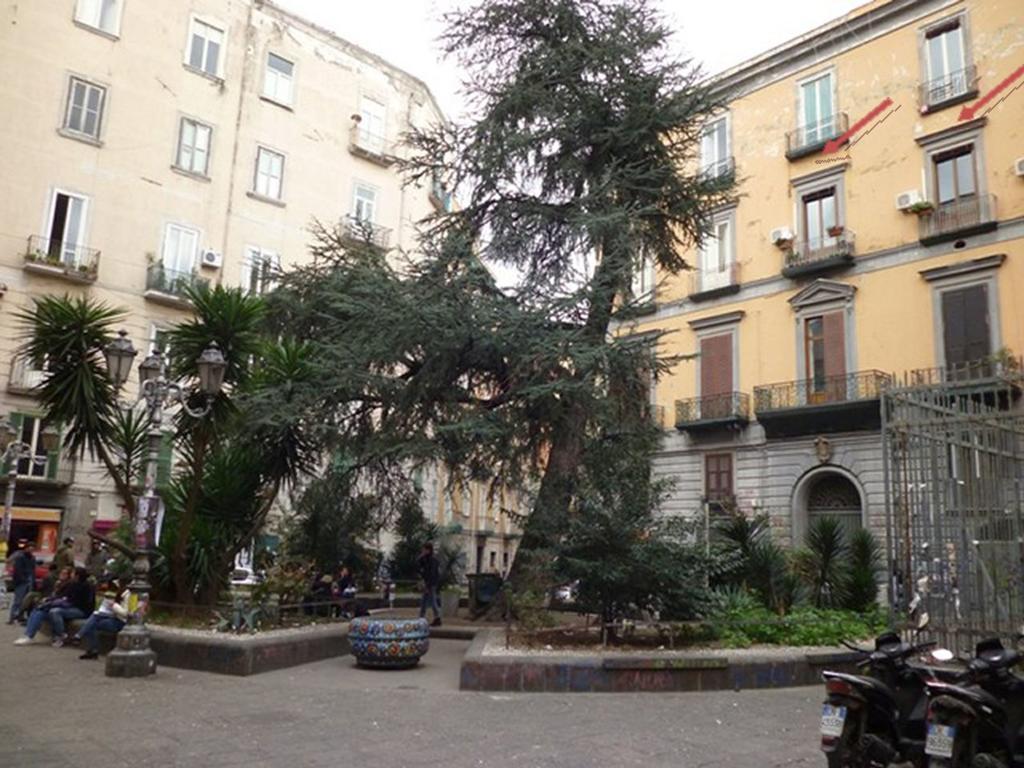 25 Apartment *