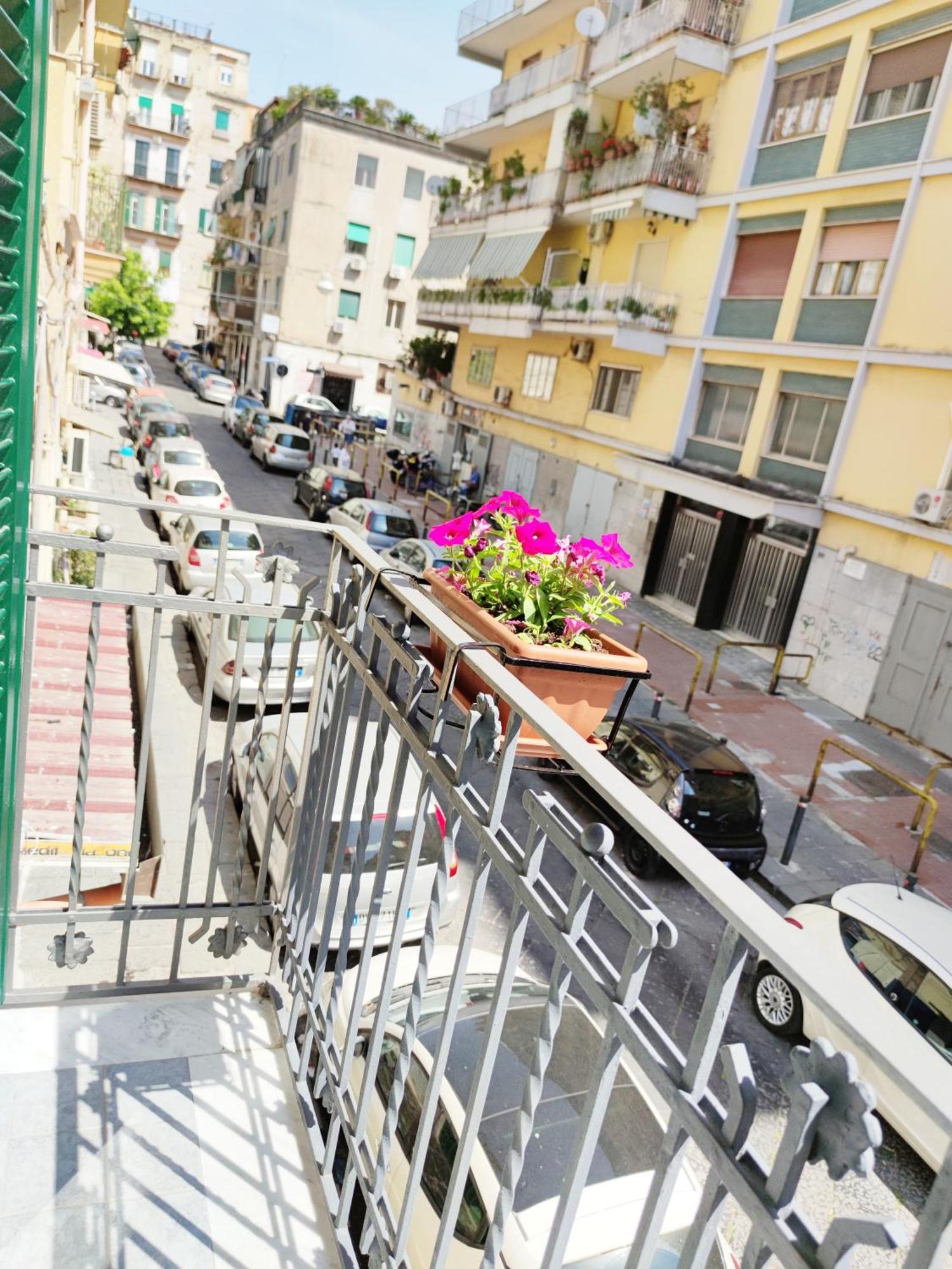 Apartment Arteteca 4 Naples